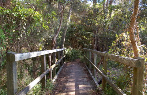 Lake Macquarie State Conservation Area - Accommodation Burleigh 2