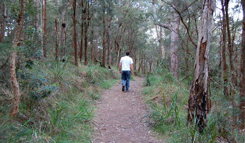 Lake Macquarie State Conservation Area - Accommodation Burleigh 3
