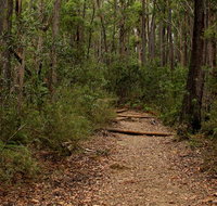 Pigeon House Mountain Didthul walking track - Accommodation Burleigh