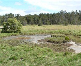 Boondall Wetlands Reserve - Accommodation Burleigh 1