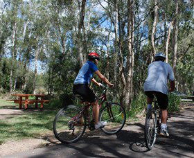 Boondall Wetlands Reserve - Accommodation Burleigh 2