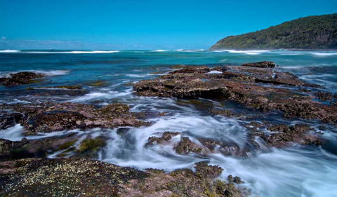 Wyrrabalong National Park - Accommodation Burleigh 0