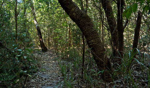 Wyrrabalong National Park - Accommodation Burleigh 2