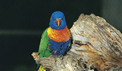Wyrrabalong National Park - Accommodation Burleigh 1
