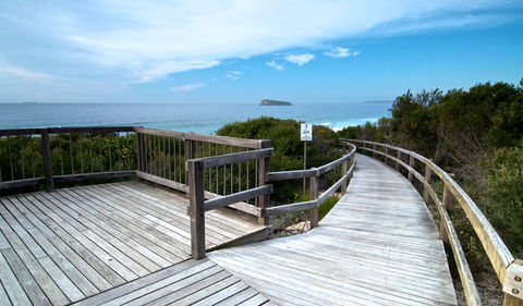 Tea Tree Picnic Area And Lookout - Accommodation Burleigh 0