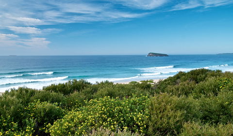 Tea Tree Picnic Area And Lookout - Accommodation Burleigh 3