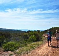 Moonee Beach trail - Accommodation Burleigh