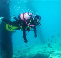Shellharbour Scuba  Photography Centre - Accommodation Burleigh