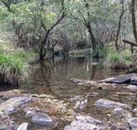 Homeleigh - Accommodation Burleigh