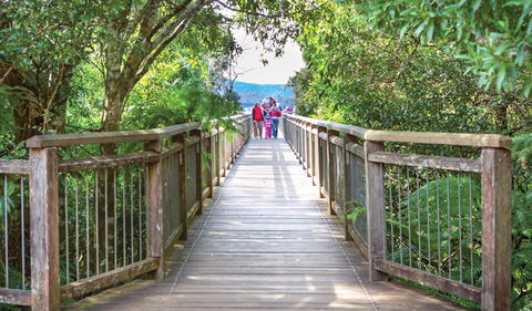 Skywalk Lookout - Accommodation Burleigh 0