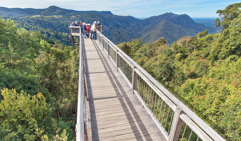 Skywalk Lookout - Accommodation Burleigh 1