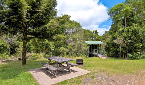 Antarctic Beech Picnic Area - Accommodation Burleigh 1