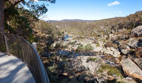 Wadbilliga National Park - Accommodation Burleigh 0