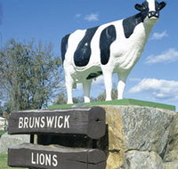 Brunswick Cow - Accommodation Burleigh