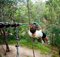 TreeTop Challenge - Accommodation Burleigh