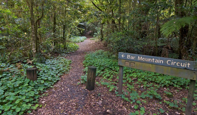 Upper Horseshoe Creek NSW Accommodation Burleigh