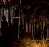 Tamborine Mountain Glow Worm Caves - Accommodation Burleigh