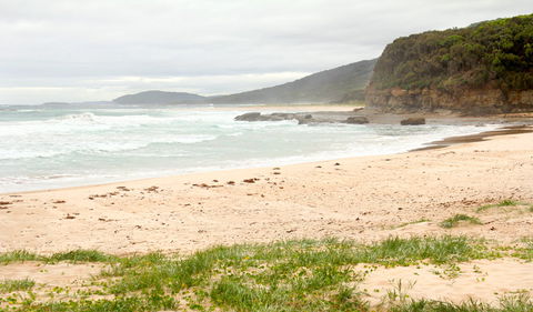 Pretty Beach To Durras Mountain Walking Track - Accommodation Burleigh 1