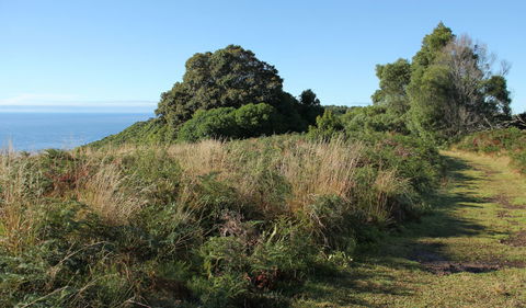 Pretty Beach To Durras Mountain Walking Track - Accommodation Burleigh 2