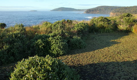 Pretty Beach To Durras Mountain Walking Track - Accommodation Burleigh 3