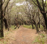 Pretty Beach to Snapper Point walking track - Accommodation Burleigh