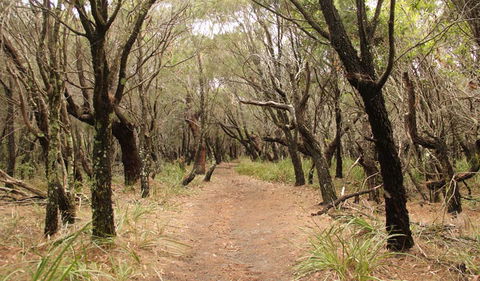 Pretty Beach To Snapper Point Walking Track - Accommodation Burleigh 0