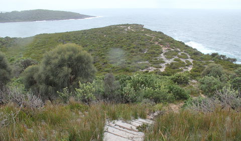 Pretty Beach To Snapper Point Walking Track - Accommodation Burleigh 2