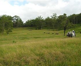 Numinbah Valley QLD Accommodation Burleigh