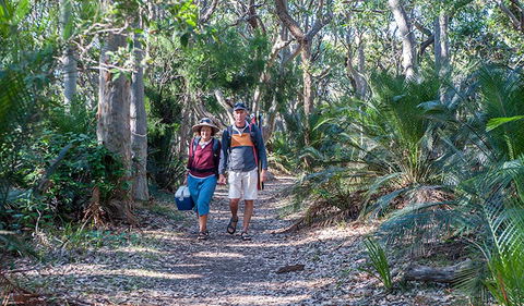 Myrtle Beach Walking Track - Accommodation Burleigh 0