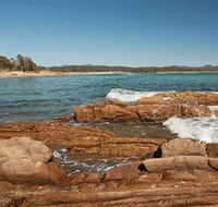 Shelly Beach Picnic Area - Moruya Heads - Accommodation Burleigh
