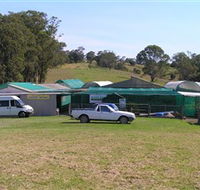 Tinonee Orchid Nursery - Accommodation Burleigh
