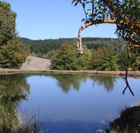 Oak Grove Walk Balingup - Accommodation Burleigh