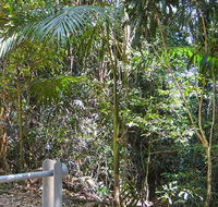 Goorgana walking track - Accommodation Burleigh