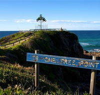 One Tree Point Lookout and Picnic Area