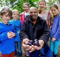 Wigay Aboriginal Culture Park - Accommodation Burleigh