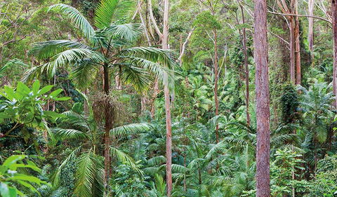 Ulidarra National Park - Accommodation Burleigh 3