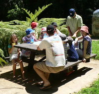 The Pines picnic area - Accommodation Burleigh