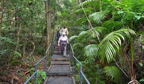 Falls Walking Track - Accommodation Burleigh 2