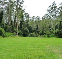 Kerewong State Forest - Accommodation Burleigh