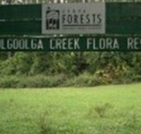 Woolgoolga Creek Flora Reserve - Accommodation Burleigh