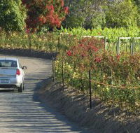 Cassegrain Wines - Accommodation Burleigh