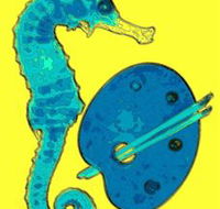 Woolgoolga Art Gallery - Accommodation Burleigh