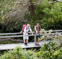 Wilsons Headland walking track - Accommodation Burleigh