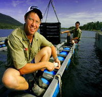 Armstrong Oysters - Accommodation Burleigh
