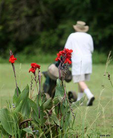 Teven Valley Golf Course - Accommodation Burleigh 3