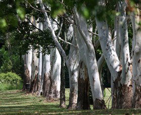 Teven Valley Golf Course - Accommodation Burleigh 1