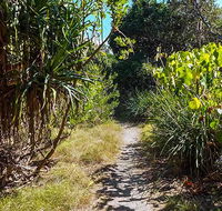 North Head walking track - Accommodation Burleigh