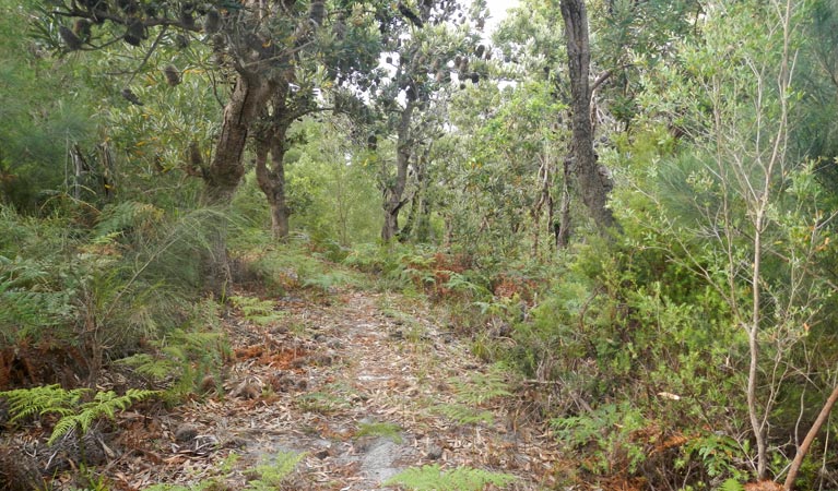 Hat Head NSW Accommodation Burleigh