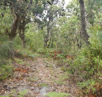 Kinchela Trig Lookout walk - Accommodation Burleigh