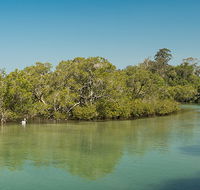 Tyagarah Nature Reserve - Accommodation Burleigh